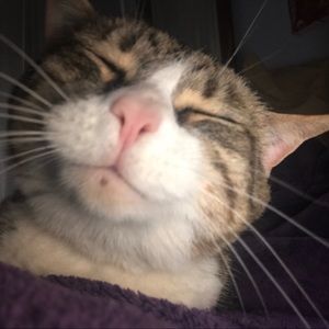 Meet your Posher, Sabrina